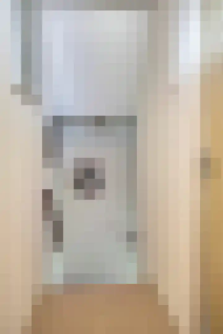 De Weel 22 Zijdewind thumbnail 18
