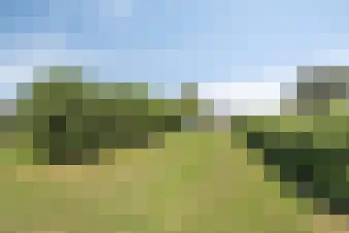 De Weel 22 Zijdewind foto 2