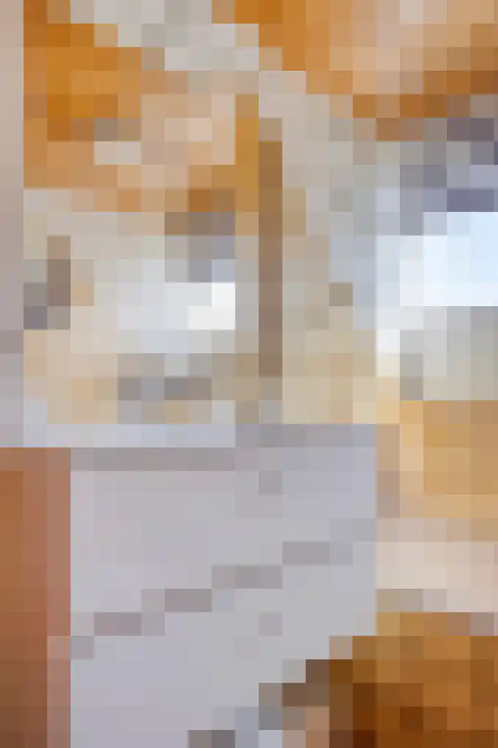 De Weel 22 Zijdewind thumbnail 24
