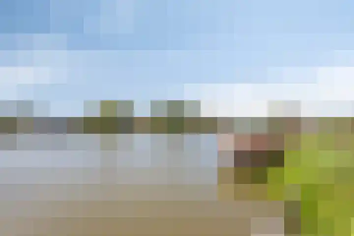 De Weel 22 Zijdewind foto 3