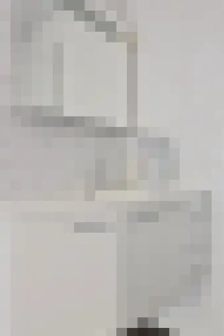 De Weel 22 Zijdewind thumbnail 35