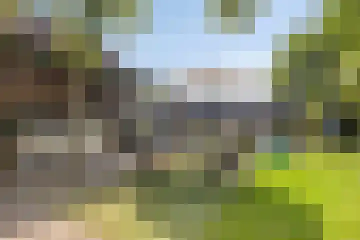 De Weel 22 Zijdewind thumbnail 38