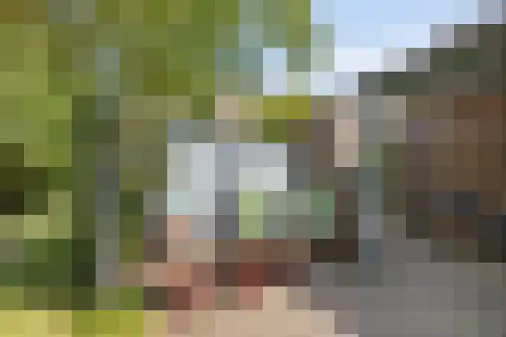 De Weel 22 Zijdewind thumbnail 43