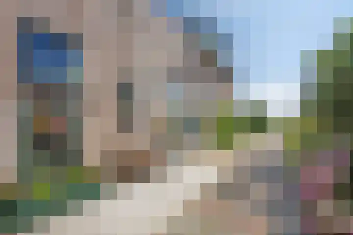 De Weel 22 Zijdewind thumbnail 45
