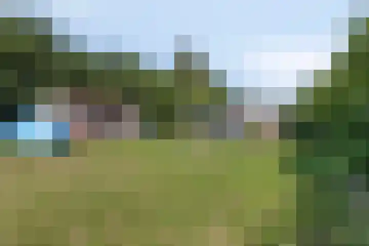De Weel 22 Zijdewind thumbnail 48