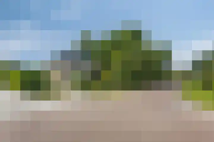 De Weel 22 Zijdewind thumbnail 6