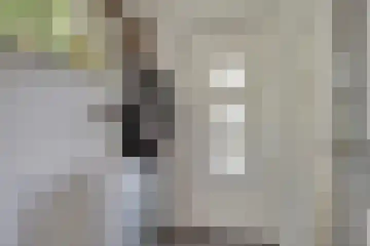 De Weel 22 Zijdewind thumbnail 7