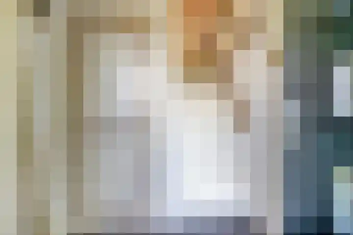 De Weel 22 Zijdewind thumbnail 8