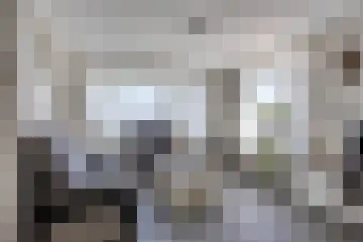 De Weel 22 Zijdewind thumbnail 9