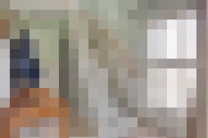 De Weel 4 Zijdewind thumbnail 10