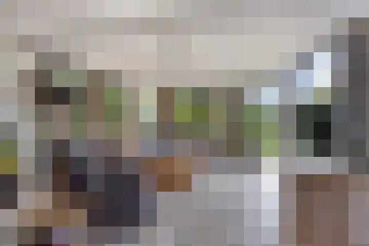 De Weel 4 Zijdewind thumbnail 15