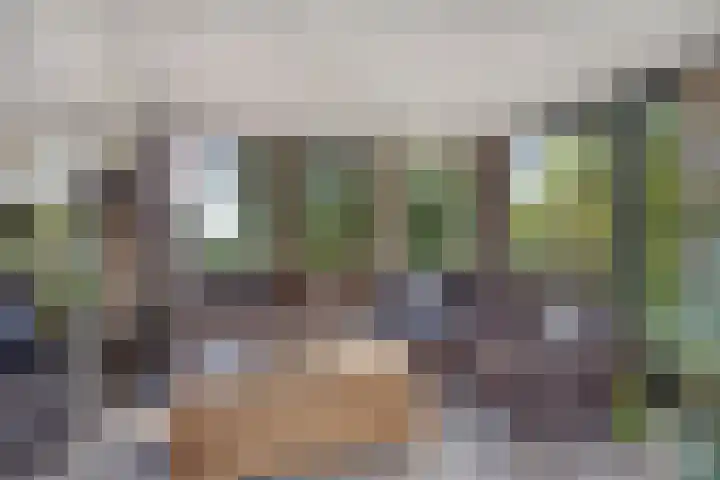De Weel 4 Zijdewind thumbnail 16