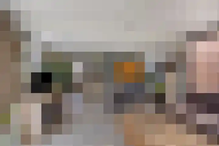 De Weel 4 Zijdewind thumbnail 17