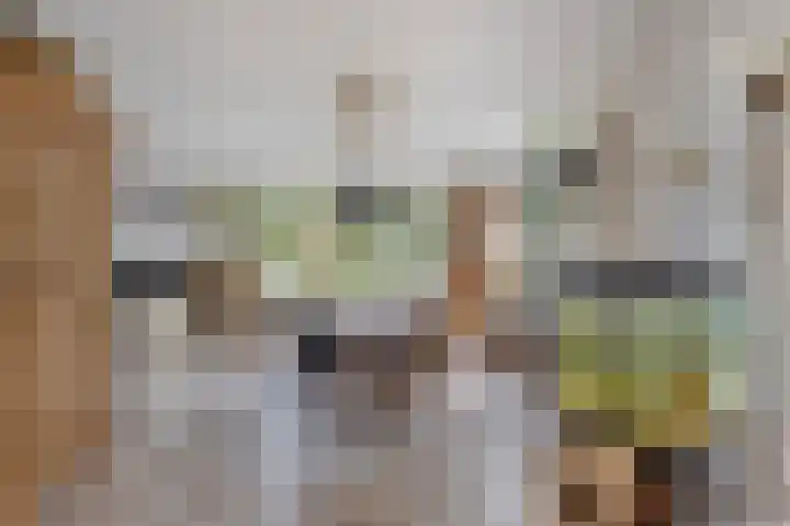 De Weel 4 Zijdewind thumbnail 18