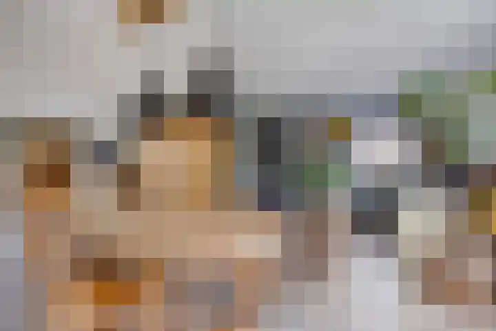 De Weel 4 Zijdewind thumbnail 19