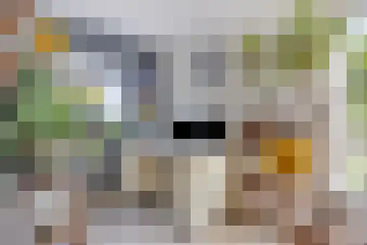 De Weel 4 Zijdewind thumbnail 20