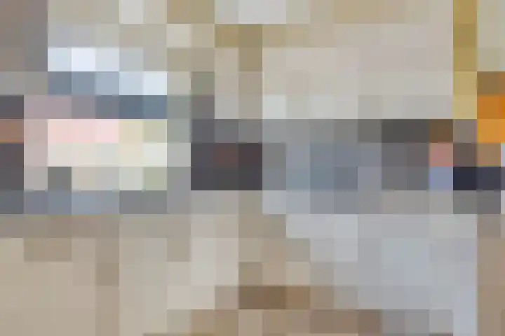 De Weel 4 Zijdewind thumbnail 22