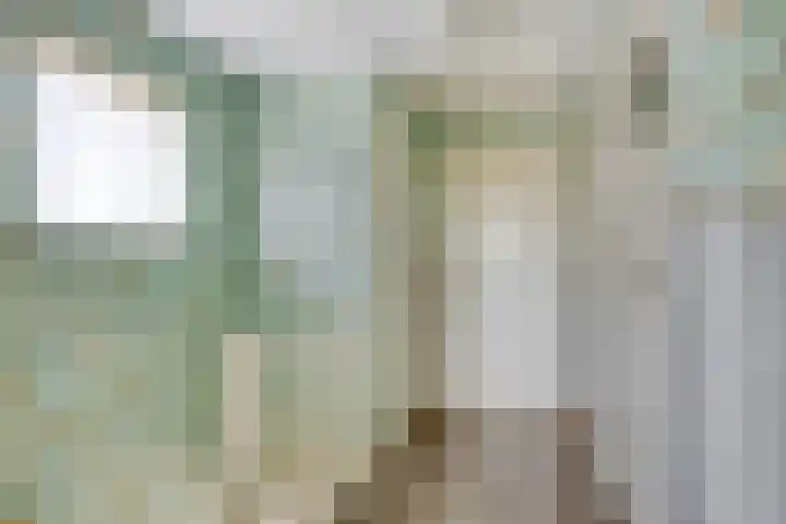 De Weel 4 Zijdewind thumbnail 25