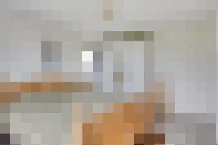 De Weel 4 Zijdewind thumbnail 28