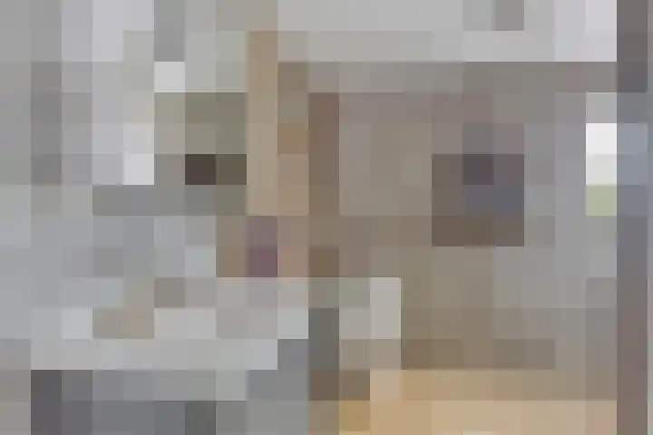 De Weel 4 Zijdewind thumbnail 29