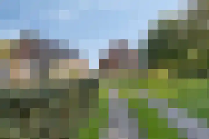 De Weel 4 Zijdewind foto 3