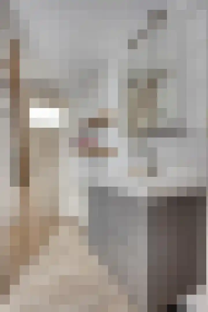 De Weel 4 Zijdewind thumbnail 31