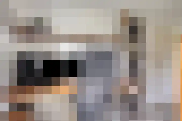 De Weel 4 Zijdewind thumbnail 33