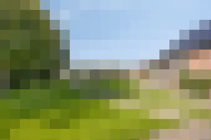 De Weel 4 Zijdewind thumbnail 39
