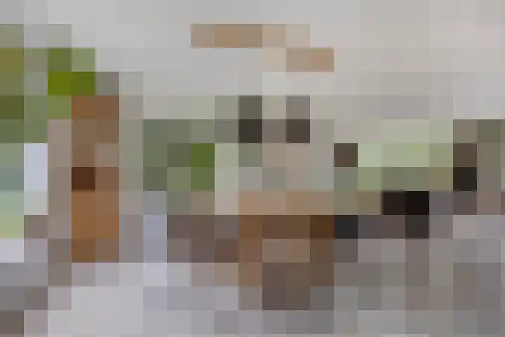 De Weel 4 Zijdewind thumbnail 4