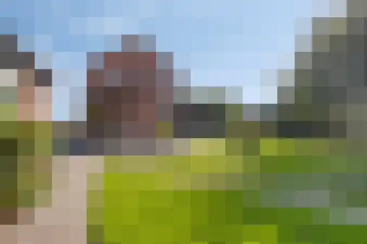 De Weel 4 Zijdewind thumbnail 40