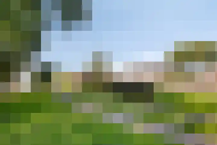 De Weel 4 Zijdewind thumbnail 41
