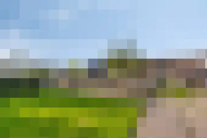 De Weel 4 Zijdewind thumbnail 42
