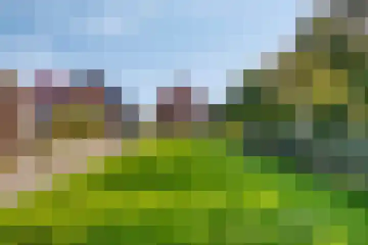 De Weel 4 Zijdewind thumbnail 43