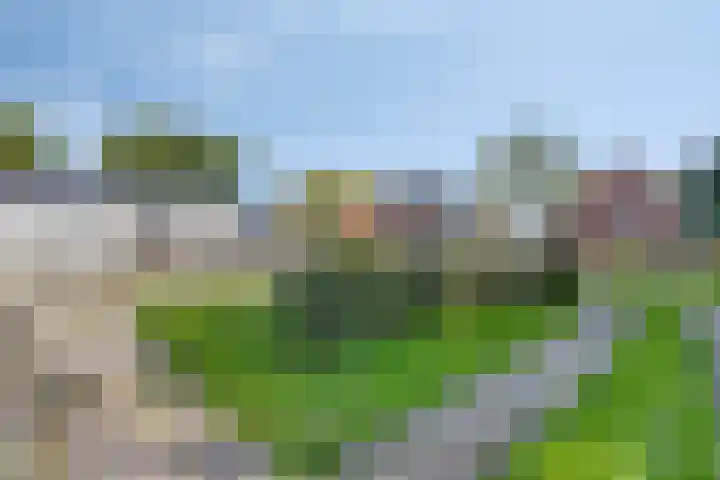 De Weel 4 Zijdewind thumbnail 44