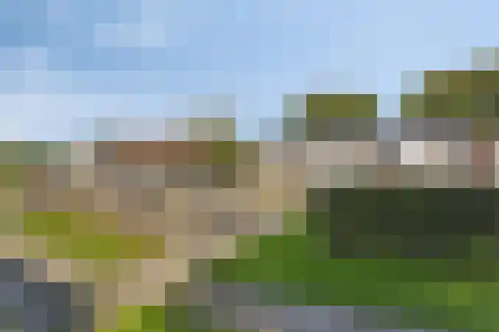 De Weel 4 Zijdewind thumbnail 45