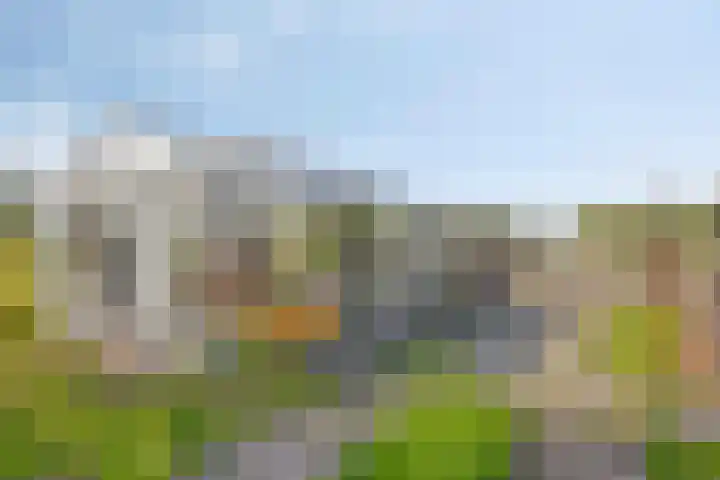 De Weel 4 Zijdewind thumbnail 46