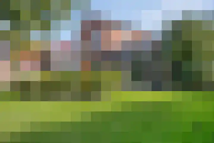 De Weel 4 Zijdewind thumbnail 47