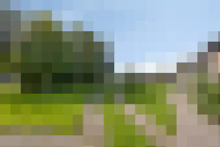 De Weel 4 Zijdewind thumbnail 48