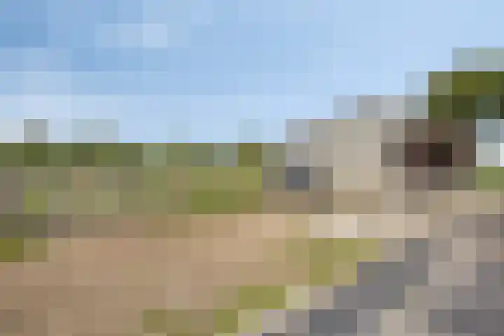 De Weel 4 Zijdewind thumbnail 49