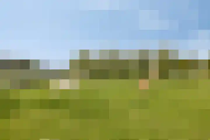De Weel 4 Zijdewind thumbnail 50