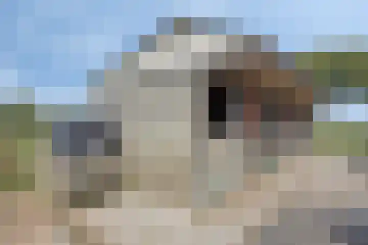 De Weel 4 Zijdewind thumbnail 51