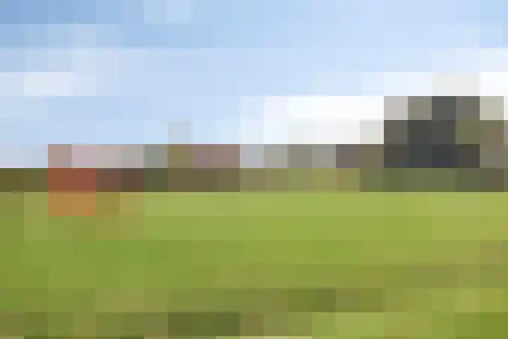 De Weel 4 Zijdewind thumbnail 52