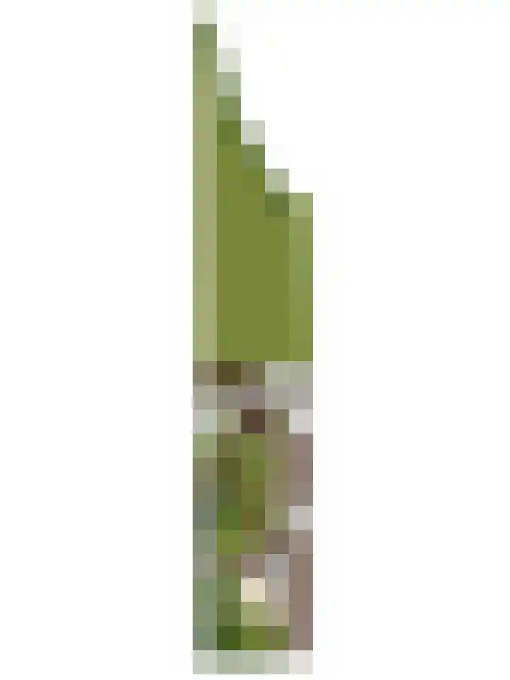 De Weel 4 Zijdewind thumbnail 54