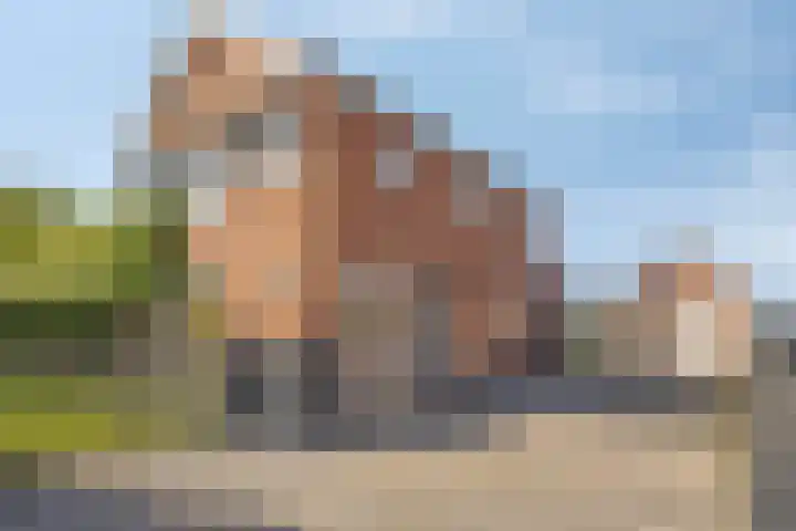 De Weel 4 Zijdewind thumbnail 6