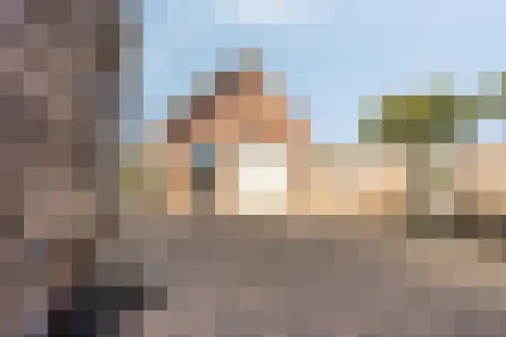 De Weel 4 Zijdewind thumbnail 9