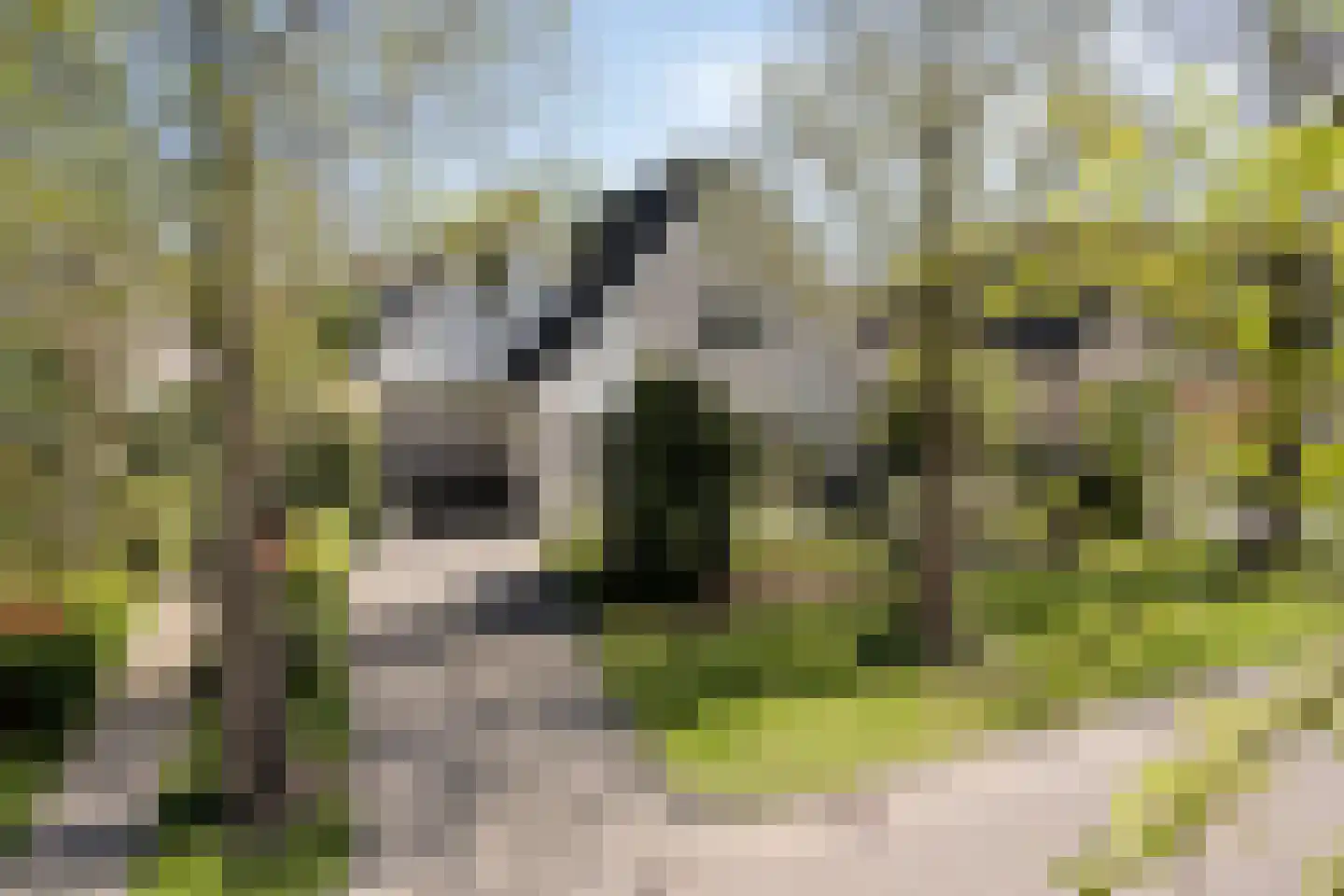 De Weel 69 Hippolytushoef