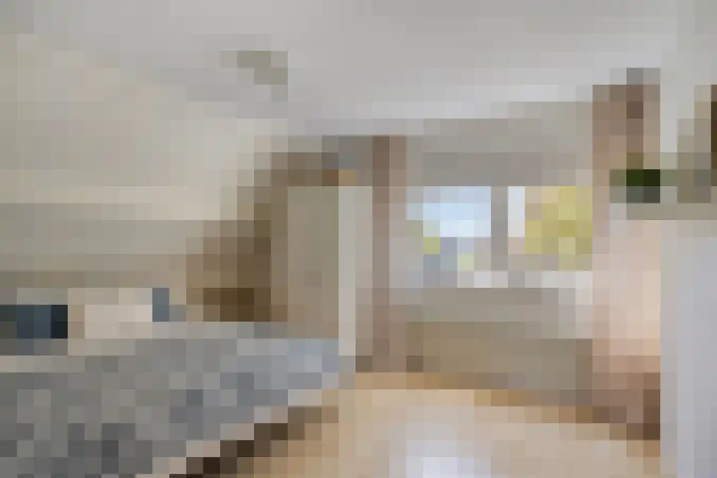 De Weel 69 Hippolytushoef thumbnail 18
