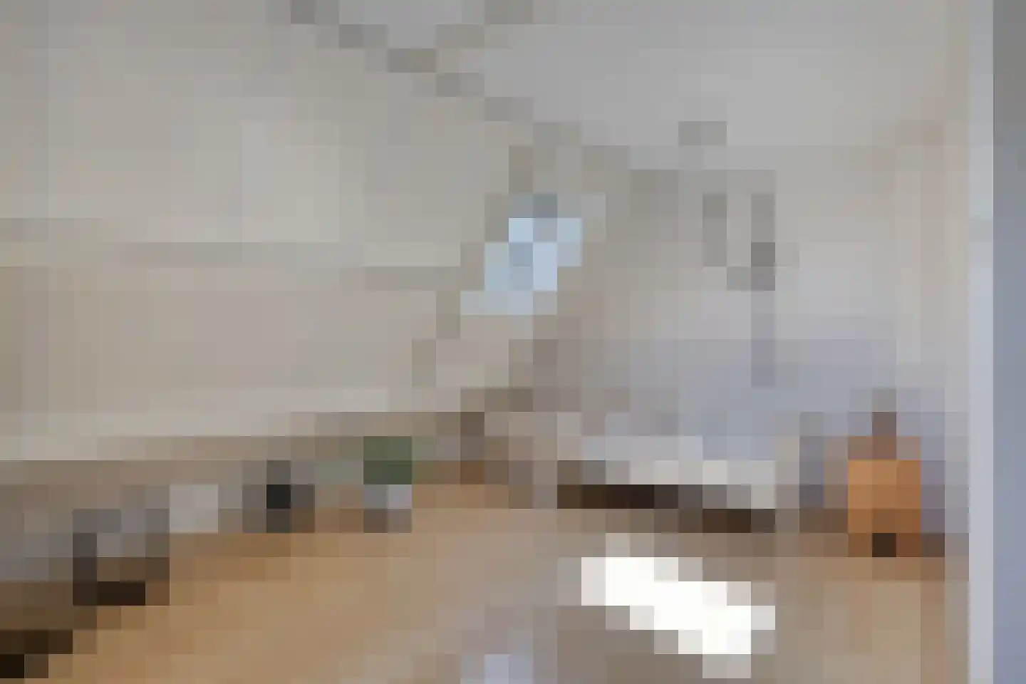 De Weel 69 Hippolytushoef thumbnail 19