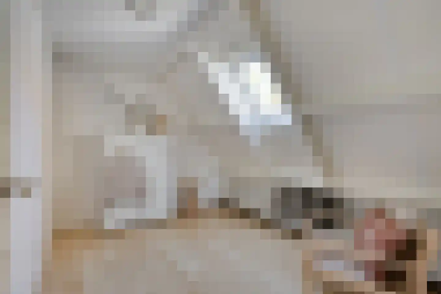 De Weel 69 Hippolytushoef thumbnail 20