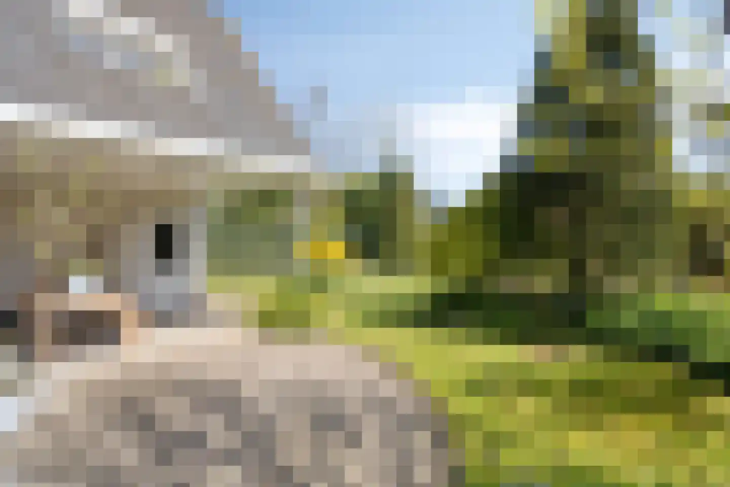 De Weel 69 Hippolytushoef thumbnail 22